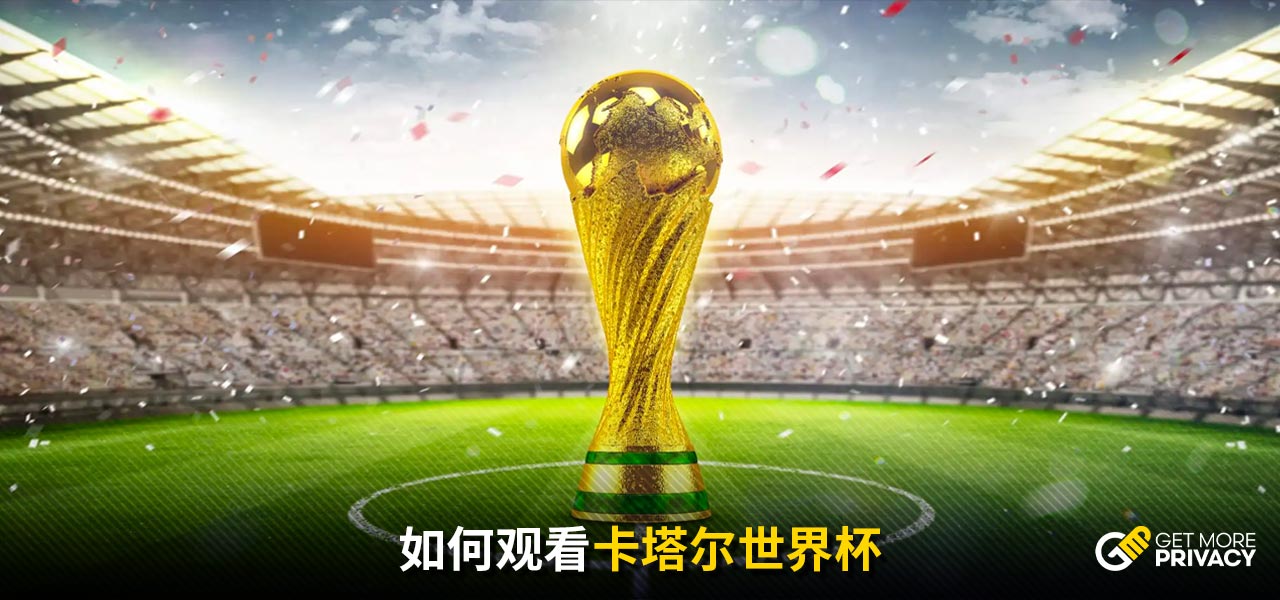 林诗栋便展
