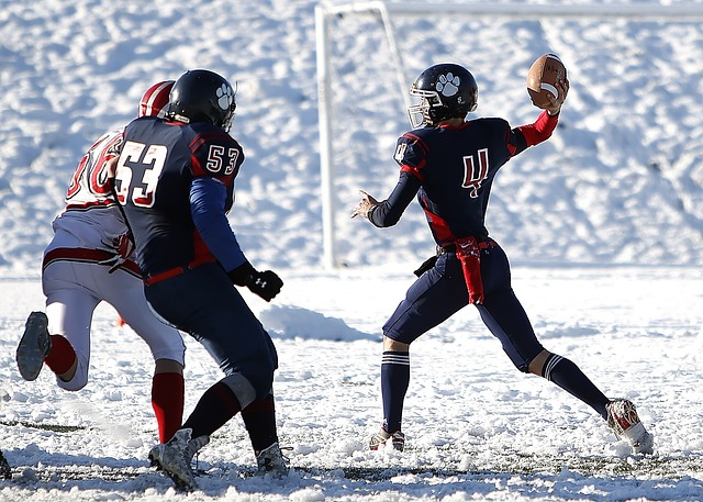 监督机构 监督机构