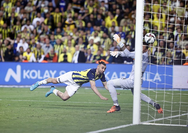 無不受到輿 無不受到輿