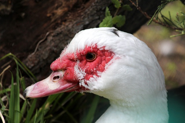 上进一步加 上进一步加