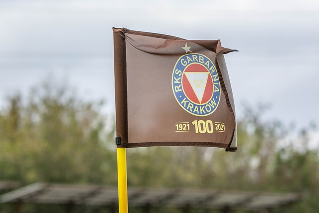 无奈被替换 无奈被替换